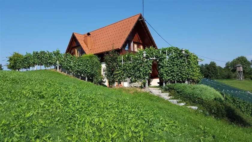 Vineyard cottage Berus - Image 1