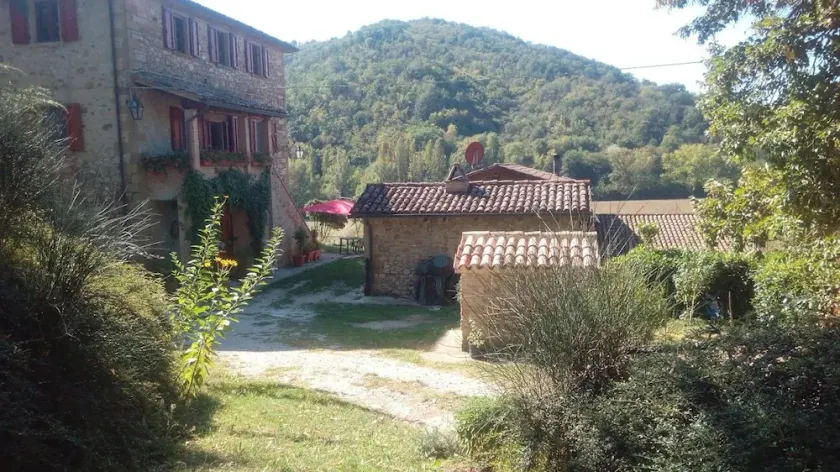 Tana Del Tasso - Image 1