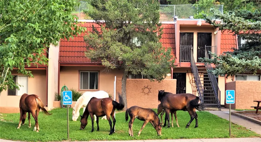Pinecliff Village Resort - Image 1