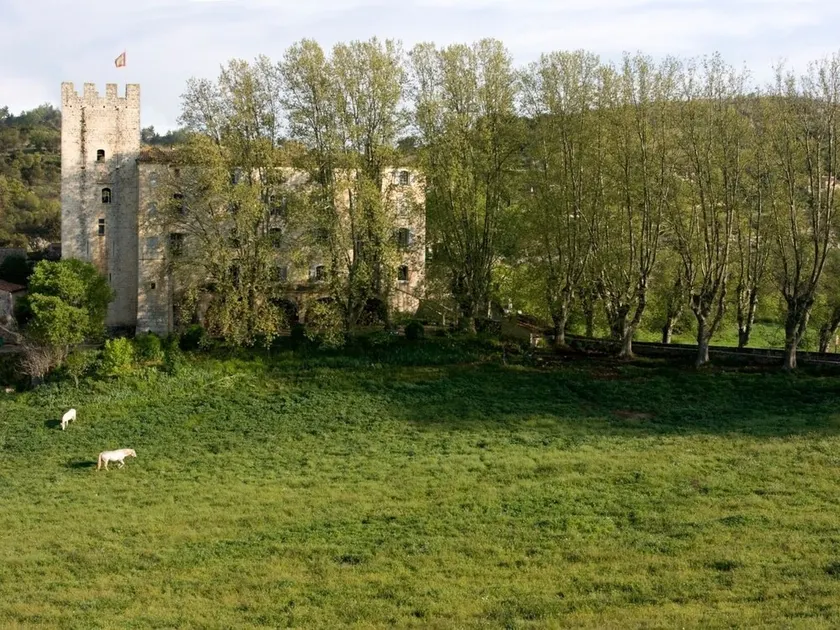 Château d'Esparron - Image 1