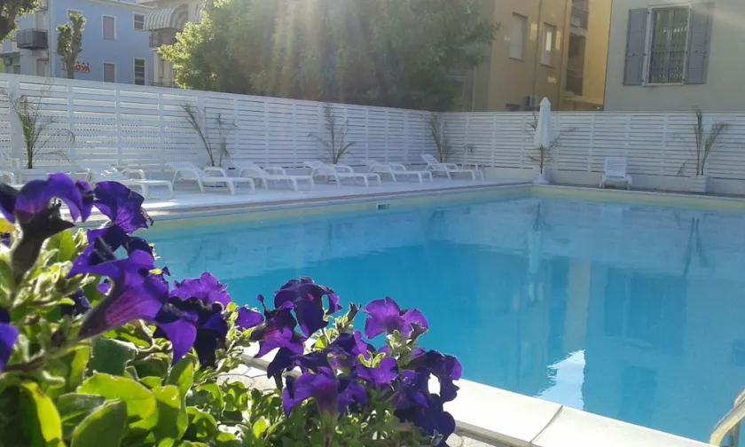 Hotel Lady - Image 1