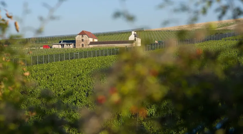 Flint Barns Rathfinny Wine Estate - Image 1