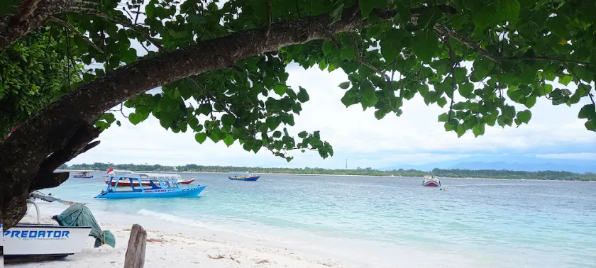 Gili Welldone Guesthouse - Image 1