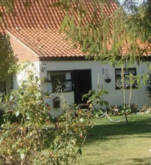 The Vines - Image 1