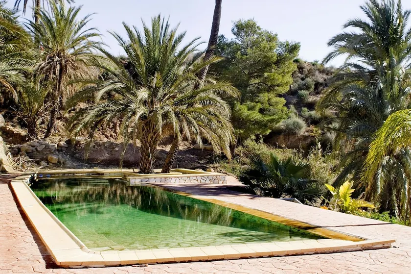 Cortijo Las Gachas - Image 1