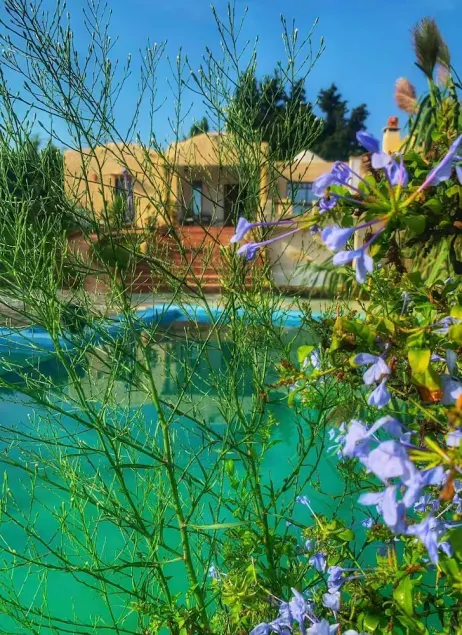 Zembretta Farm-Zembrettita - Image 1