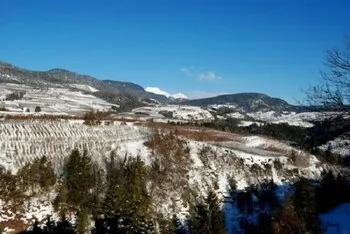 Azienda Agricola Castel Vasio - Image 1