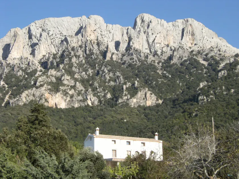 Villa Sospisches Oliena - Image 1