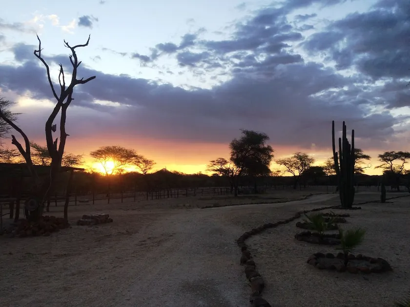 Roidina Safari Lodge - Image 1