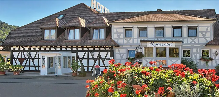 Landhotel Laube - Image 1
