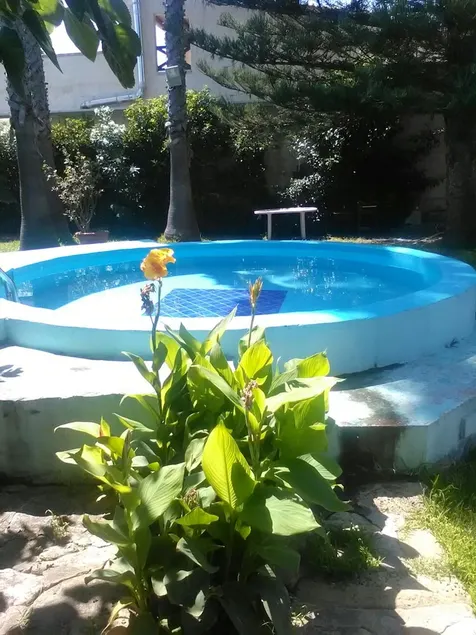 2 bedrooms appartement at Cicirata 50 m away from the beach with sea view shared pool and enclosed g - Image 1