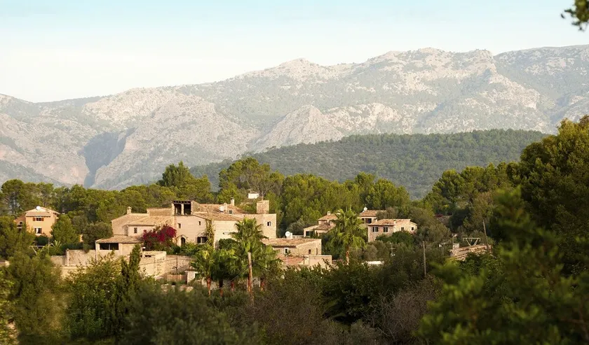 Asis de Marratxinet - Image 1