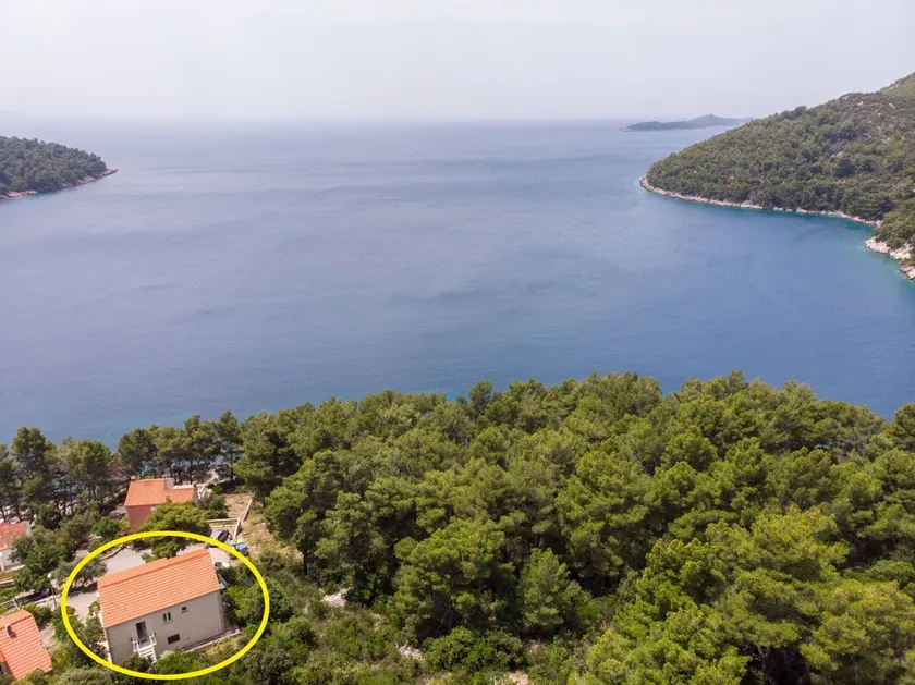 Apartments Marjan - Image 1