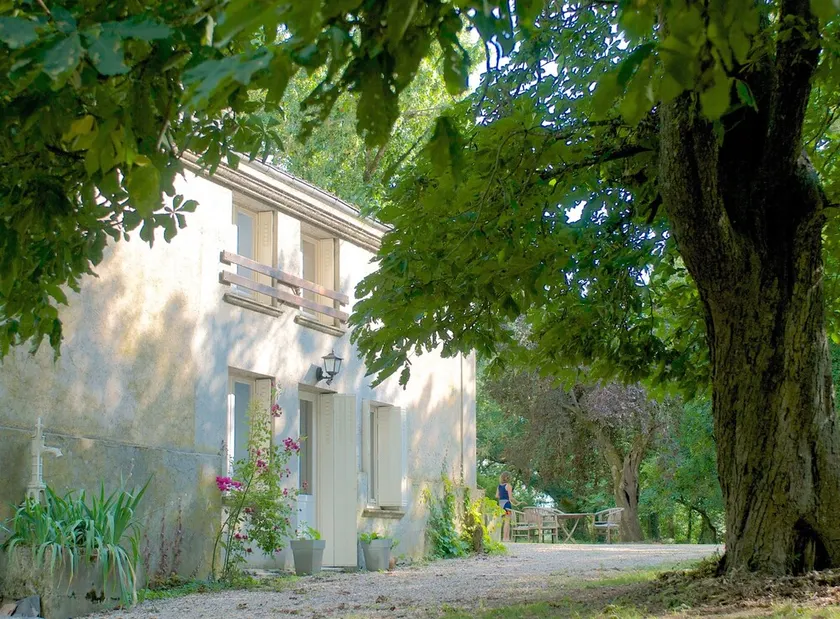 Chateau de Dournes - Image 1