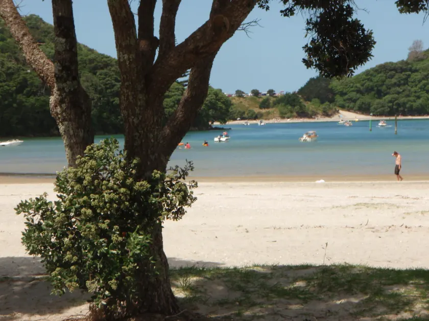 Mangawhai Heads Holiday Park - Image 1