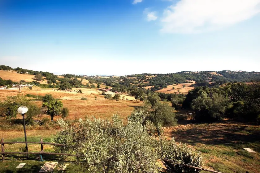 Il Borgo Degli Ulivi - Image 1
