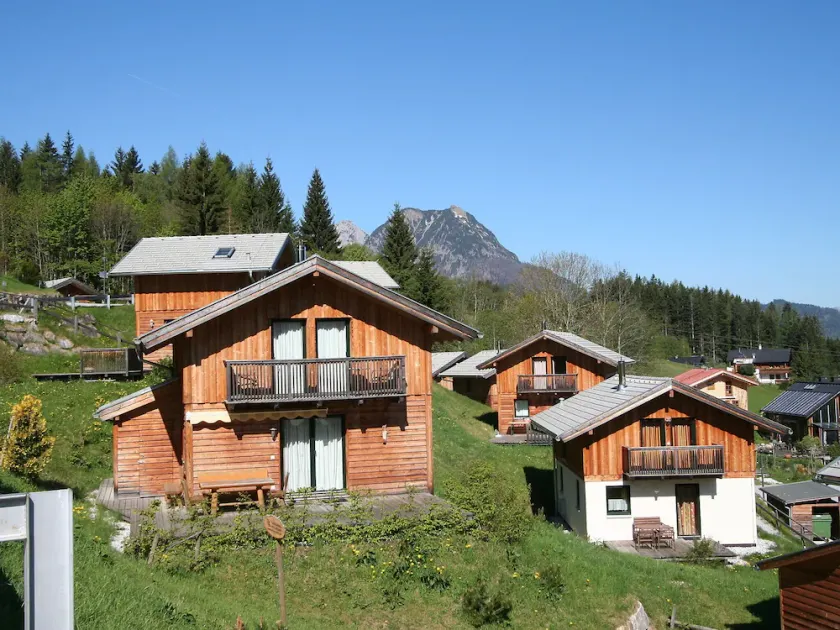 Enzian Steuer in Steuer - Image 1