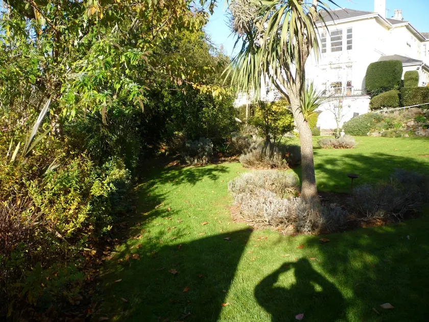 Linden House - Image 1