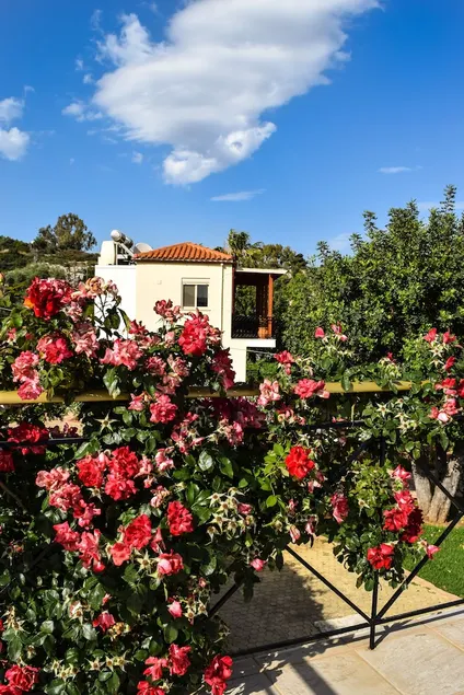 Villa Swans Nest - Image 1