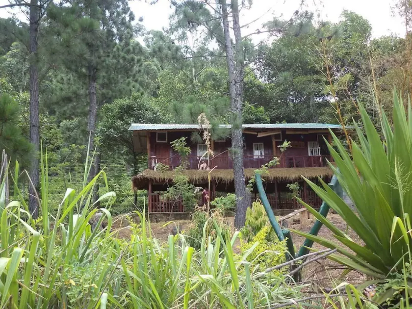 Hewaheta Hideaway - Image 1