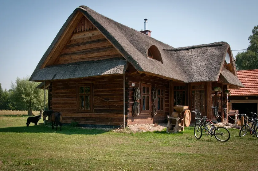 Przytulisko Pod Strzecha - Image 1