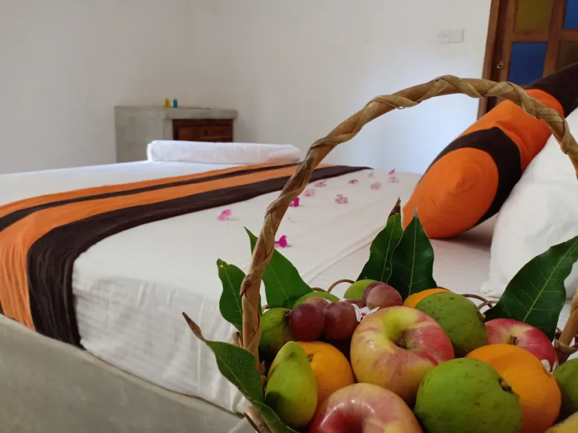 Sunset Safari & Resort - Image 1