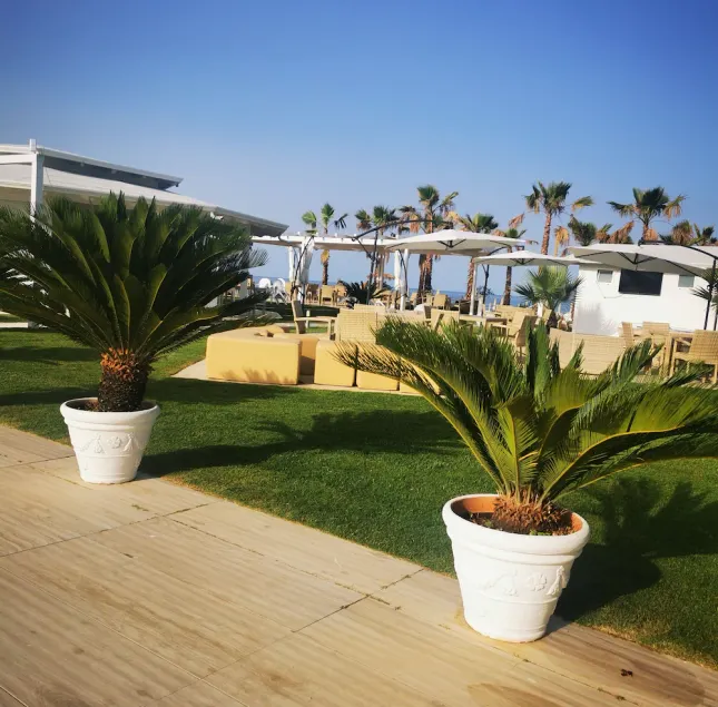 1-bed Apartment in Marina di Santa Maria del Cedro - Image 1