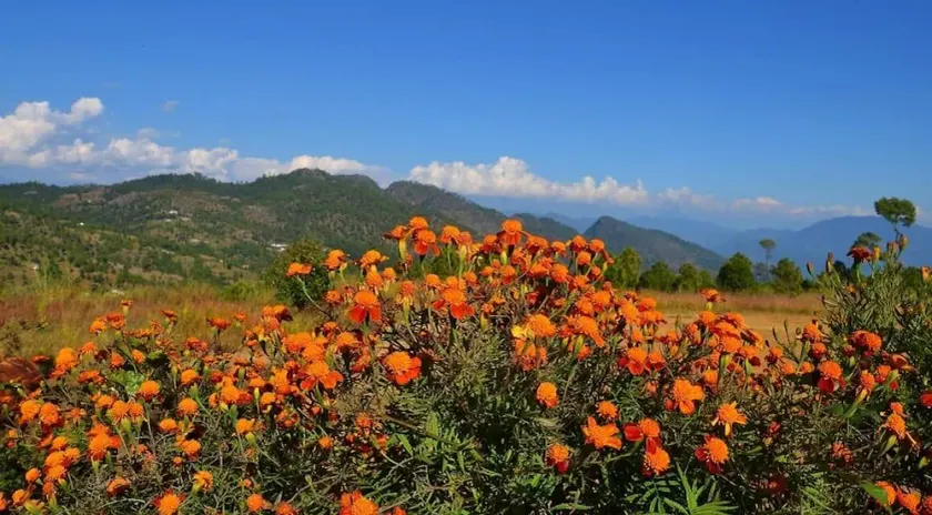 Hardik Resort - Image 1