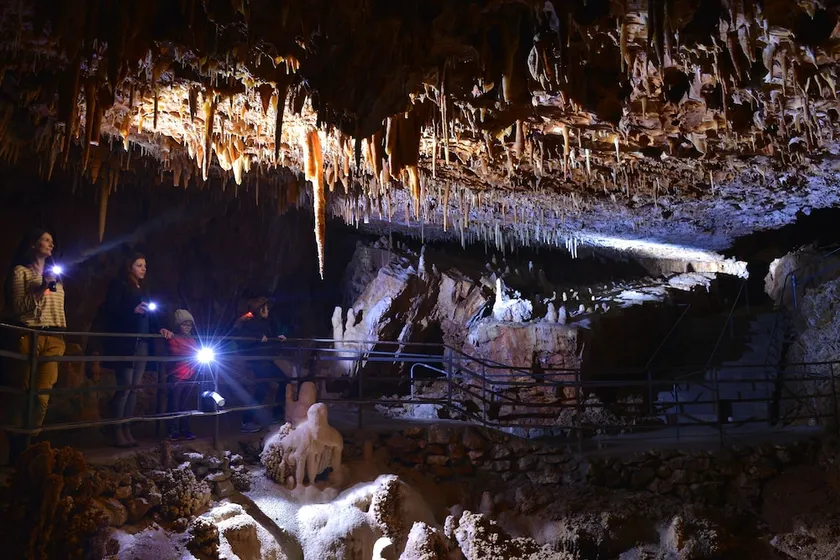 Aven Grotte Forestiere - Image 1