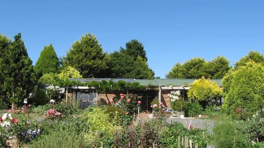 Blueberry B&B - Image 1