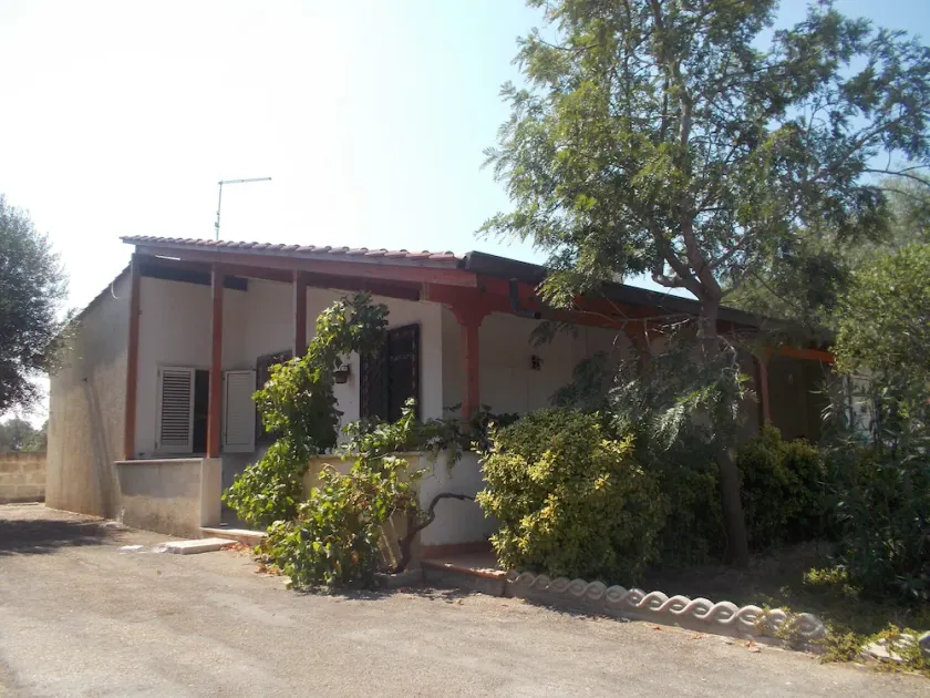 b&b Patty - Image 1