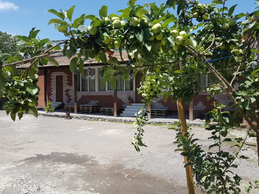 Tbilisi Yard Hostel - Image 1