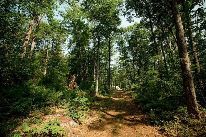 Tentrr-Bridgewater Farm - Image 1