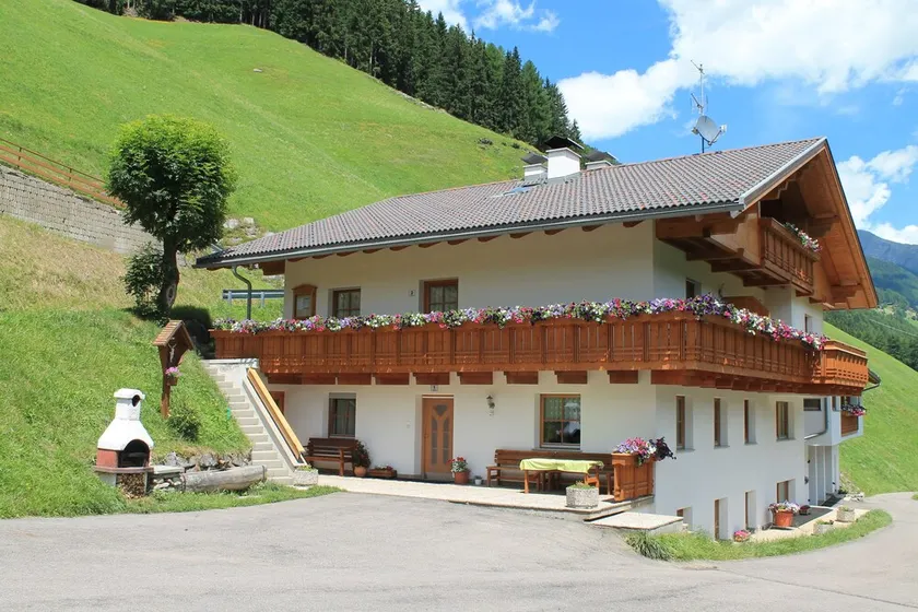 Appartement Niederkoflhof - Image 1