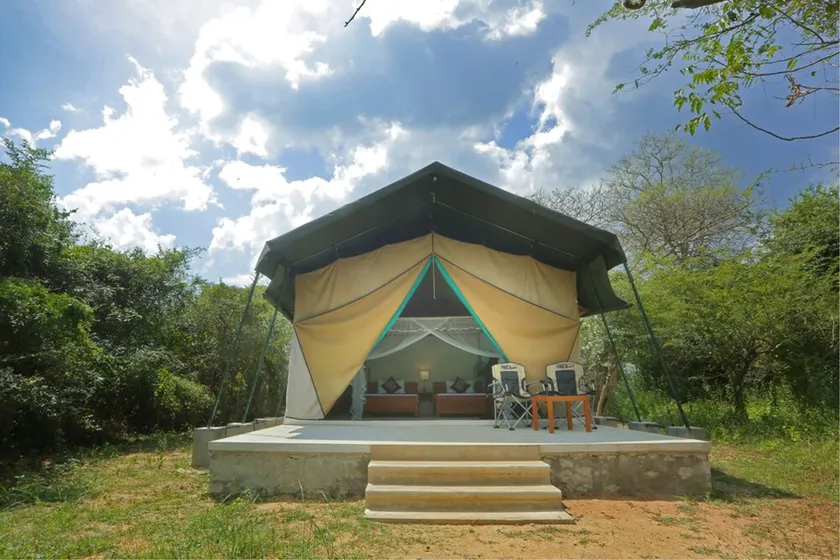 Wilpattu Safari Camp - Image 1