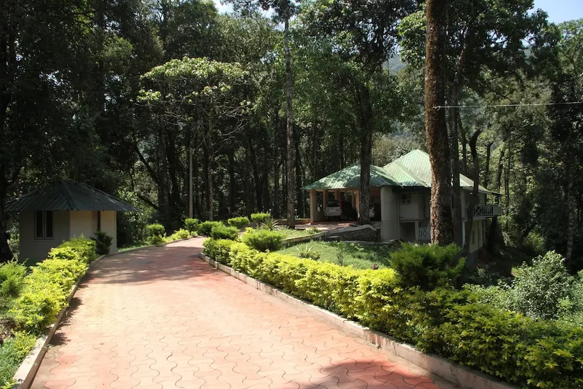Deep Woods Resort - Image 1