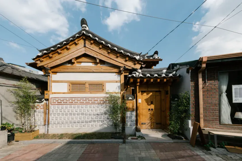 Adam Hanok - Image 1