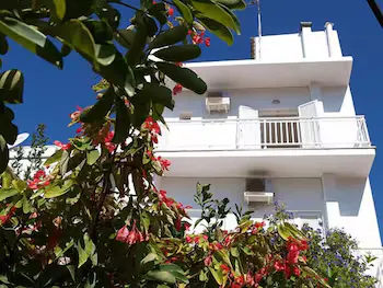 Lito Hotel - Image 1