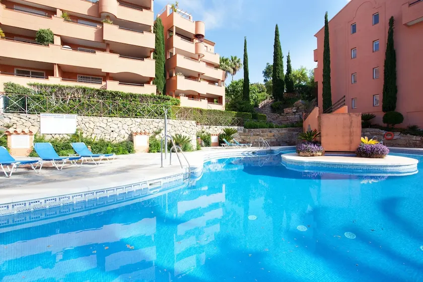 El Vicario - Image 1