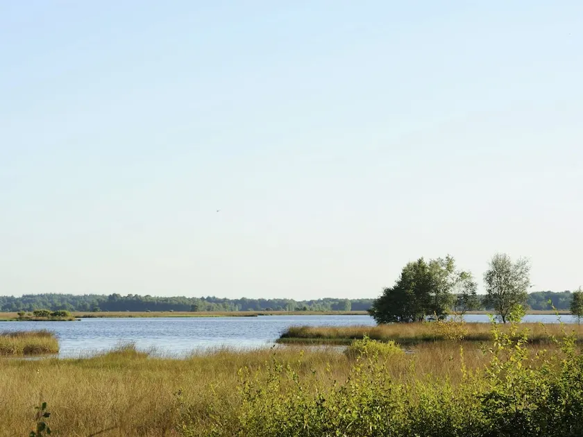 Bungalow With Dishwasher, not far From Assen - Image 1
