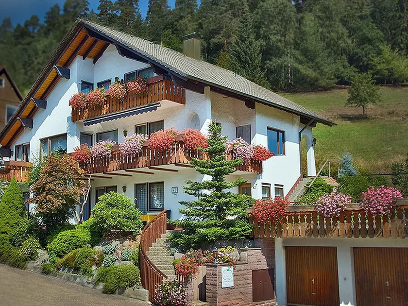 Aparthaus Schönblick - Image 1