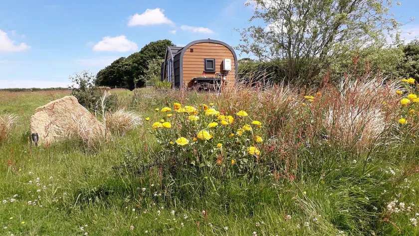 Rowan - Luxury Eco Pod at Trewithen Farm Glamping - Image 1
