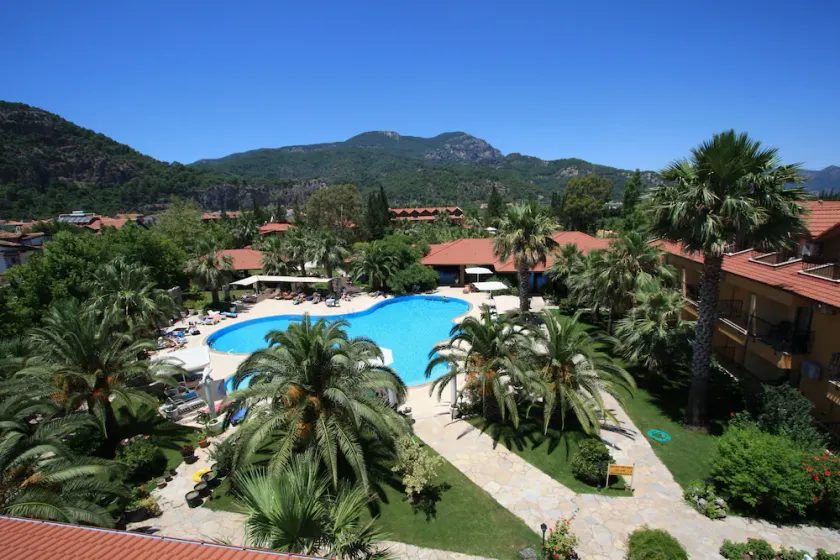 Holiday Calbis - Image 1