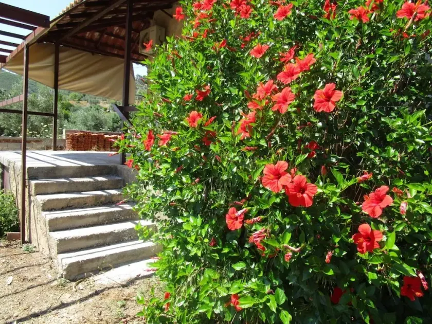 Countryside house - Image 1