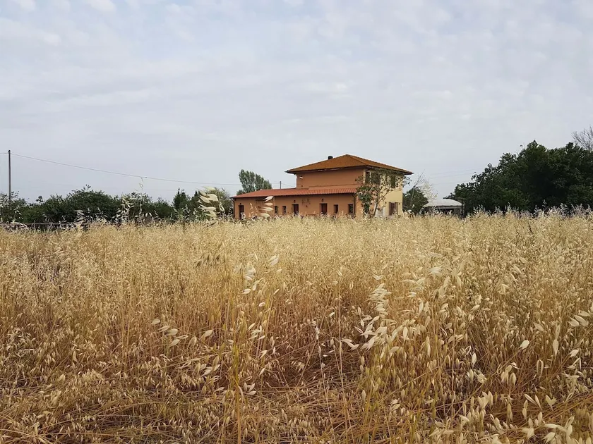 Casale Cavatella - Image 1
