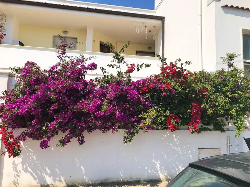 3 bedrooms house with city view enclosed garden and wifi at Torchiarolo 4 km away from the beach - Image 1