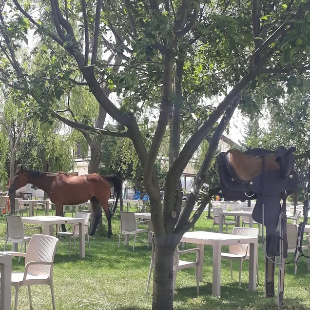 Meriç Otel & Restaurant At Çiftligi Kastamonu - Image 1