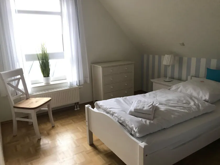 Haus-Austernfischer - Image 1