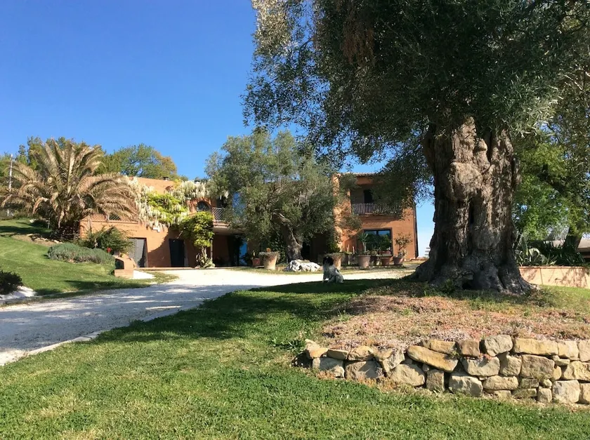 Il Podere Degli Ulivi - Image 1