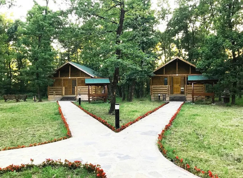 Sakarya Il Ormani Tabiat Parki Kampi - Image 1